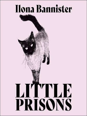 cover image of Little Prisons